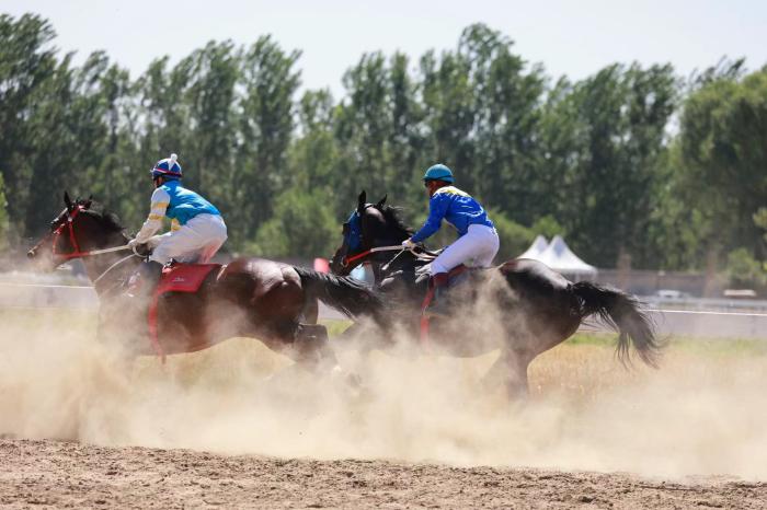 2023永清远村马术名家耐力赛盛大开幕 逾百骑手角