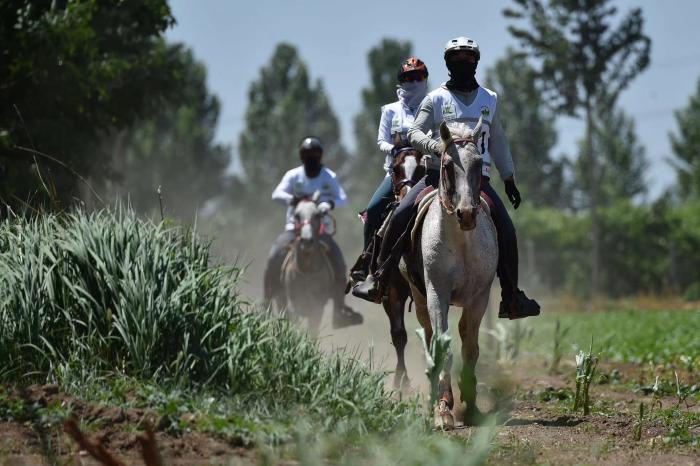 2023永清远村马术名家耐力赛盛大开幕 逾百骑手角